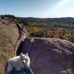 Profile Picture of Shawn Mullin (@mullin_shawn) on Instagram