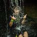 Profile Picture of Aaron Geyer (@gyr_aron1501) on Pinterest