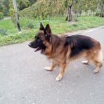 Jasmine Philipp - Facebook Profile Picture of Jasmine Philipp (@jasmine.philipp.9) on Facebook