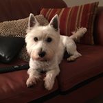 Profile Picture of Deborah Dutton (@dutton_deborah) on Instagram