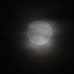 Profile Picture of Joshua Burman (@Joshua-Burman) on Facebook