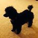 Profile Picture of Nancy Verity (@nancyverity) on Pinterest