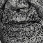 Profile Picture of Hugo Schwarz (@Hugo-Schwarz) on Facebook