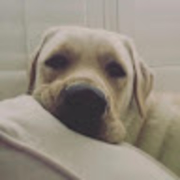 Profile Picture of Avery Burls (@avery_burls) on Poshmark