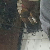 Profile Picture of Ulysses Alvarez (@ulyssesalvarez6937) on Youtube