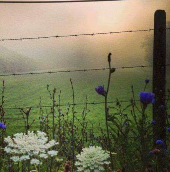 Sandra Brubaker - Poshmark Profile Picture of Sandra Brubaker (@skbrubaker) on Poshmark