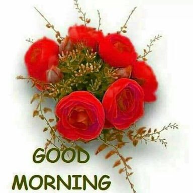 Profile Picture of Nida Mirza (@NidaMir73571361) on Twitter