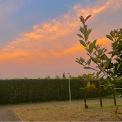 Profile Picture of Alice Palermo (@alicepalermo32) on Youtube