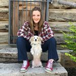 Profile Picture of Miranda Massey (@animalove_petsitting) on Instagram