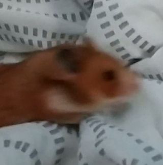 Profile Picture of Samuel Jost (@samuel.jost.92) on Facebook