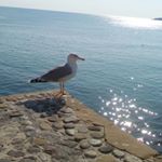 Profile Picture of Lucie Bakalářová (@luciebakalarova) on Instagram