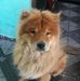 Profile Picture of Heric Andrew (@heric.andrew.503) on Facebook