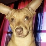 Profile Picture of lily parra (@lilyparra707) on Instagram