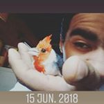 Profile Picture of Jonathan Lentenelli 1891 (@jlentenelli) on Instagram