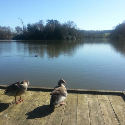 Profile Picture of Bif (@stevemacg) on Twitter