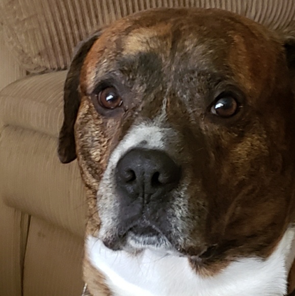 Profile Picture of Mark Moreno (@markm17) on Poshmark