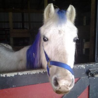 Alex Rexing - Twitter Profile Picture of Alex Rexing (@AlexRexing) on Twitter