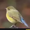 Profile Picture of ok (@a.yesterday) on Tiktok
