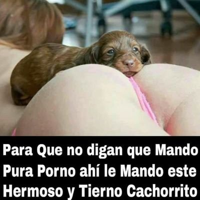 Profile Picture of Hector Taborda (@HectorTaborda17) on Twitter