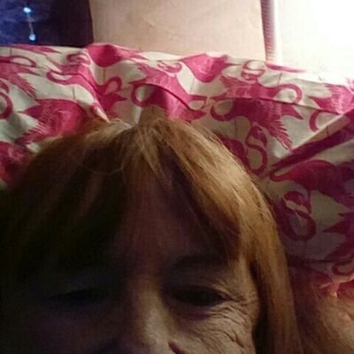 Profile Picture of Pam Soul Searcher /resister (@villalvazo_pam) on Twitter