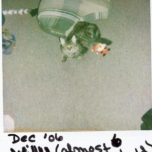 Profile Picture of Peter Beckstead (@bigthrobbingcock23) on Myspace