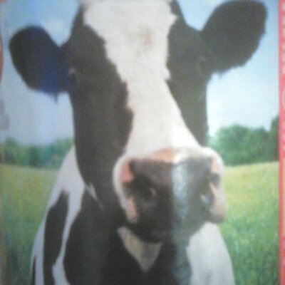 Profile Picture of Frances Shelley (@FsShelley) on Twitter