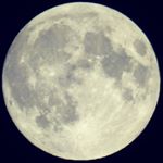 Profile Picture of Cathy Hyland (@fullmooncreate) on Instagram
