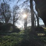 Profile Picture of John Wright (@walking_as_jesus_walked) on Instagram