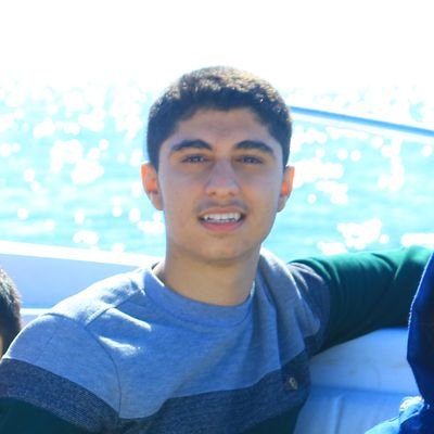 Profile Picture of Ali Forouzandeh (@AliForouzandeh5) on Twitter