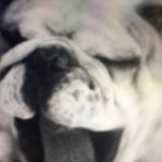 Profile Picture of Christian Ramon Mier (@christian_111516) on Instagram