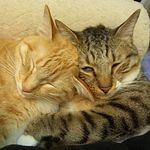 Profile Picture of Jill (@jacky elin) on Flickr