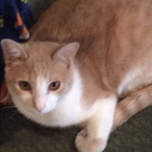 Profile Picture of Haley Keane (@haley_k6) on Poshmark