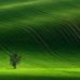 Profile Picture of Malle Falzmann Falz (@mallefalzmann.falz) on Facebook