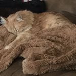 Profile Picture of Terry Swann (@terryinskyswann) on Instagram