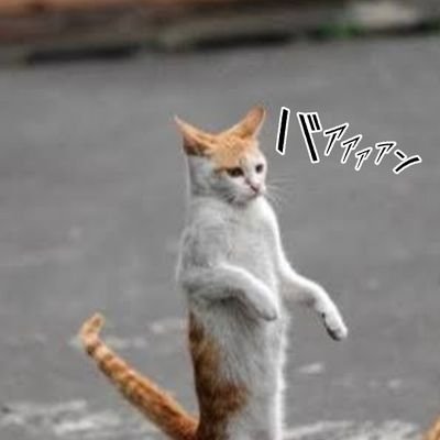 Profile Picture of Mike 🐾 (@T9A7ueAzl4ohrXR) on Twitter