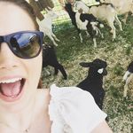 Megan Pohl - Instagram Profile Picture of Megan Pohl (@megpohl) on Instagram