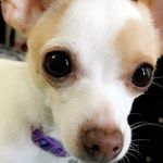 Profile Picture of Brooklynn Thomas - Scherf (@scherfbrooklynnthomas) on Instagram