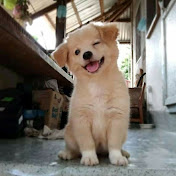 Raul Baylon - Youtube Profile Picture of Raul Baylon (@raulbaylon6470) on Youtube