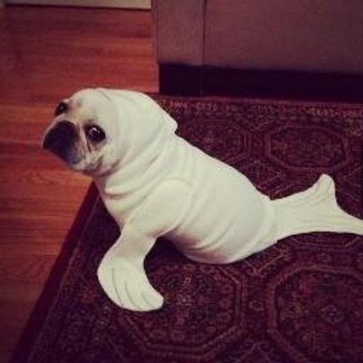 Profile Picture of Carl Ludvig Carlberg (@Cludde_) on Twitter