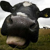 Profile Picture of James Hiebert (@james-hiebert-10) on Quora