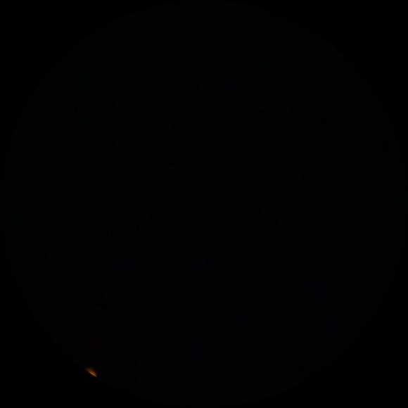 Profile Picture of Ethan Halwachs (@clothesorsumn) on Poshmark