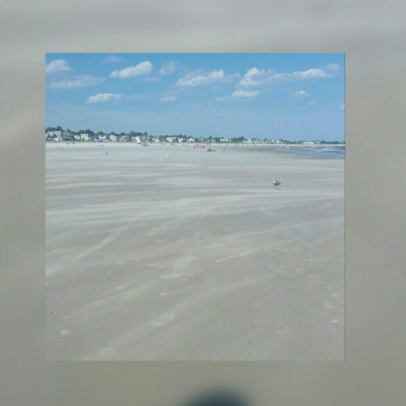 Profile Picture of Haley Bartlett (@cheerfor1ife) on Poshmark