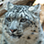 Profile Picture of Your Friend - Right? (@your friend - right?) on Flickr
