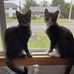 Profile Picture of Brenda Hurlbert (@brenda.hurlbert.90) on Facebook