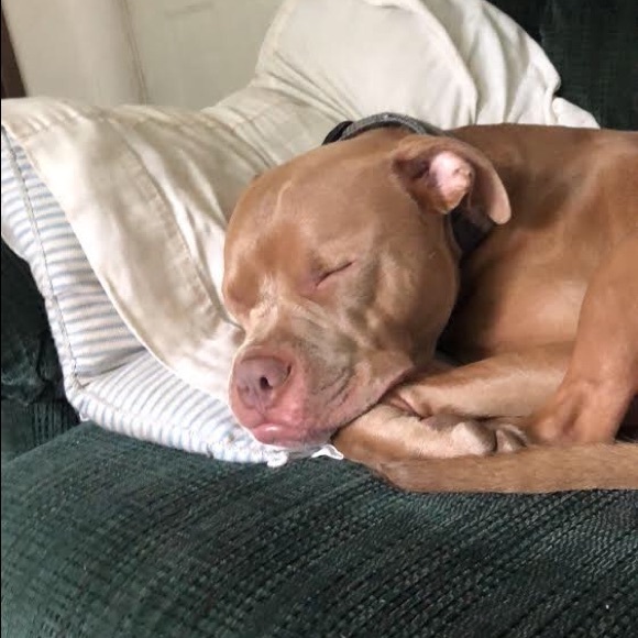 Katie Vanandel - Poshmark Profile Picture of Katie Vanandel (@katielynnwood19) on Poshmark