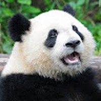 Profile Picture of Sky Higgins (@sky-higgins-4) on Quora