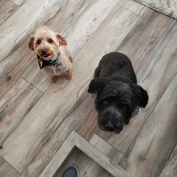 Profile Picture of Kim Fraley (@kimdee82) on Poshmark