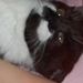 Profile Picture of Mandy Lorenz (@mandysuelorenz) on Pinterest
