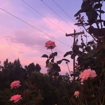 Profile Picture of Astrid Betsabé Pérez Álvarez (@AstridBetsabPr1) on Twitter