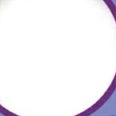 Profile Picture of Sean (@friedman792) on Twitter